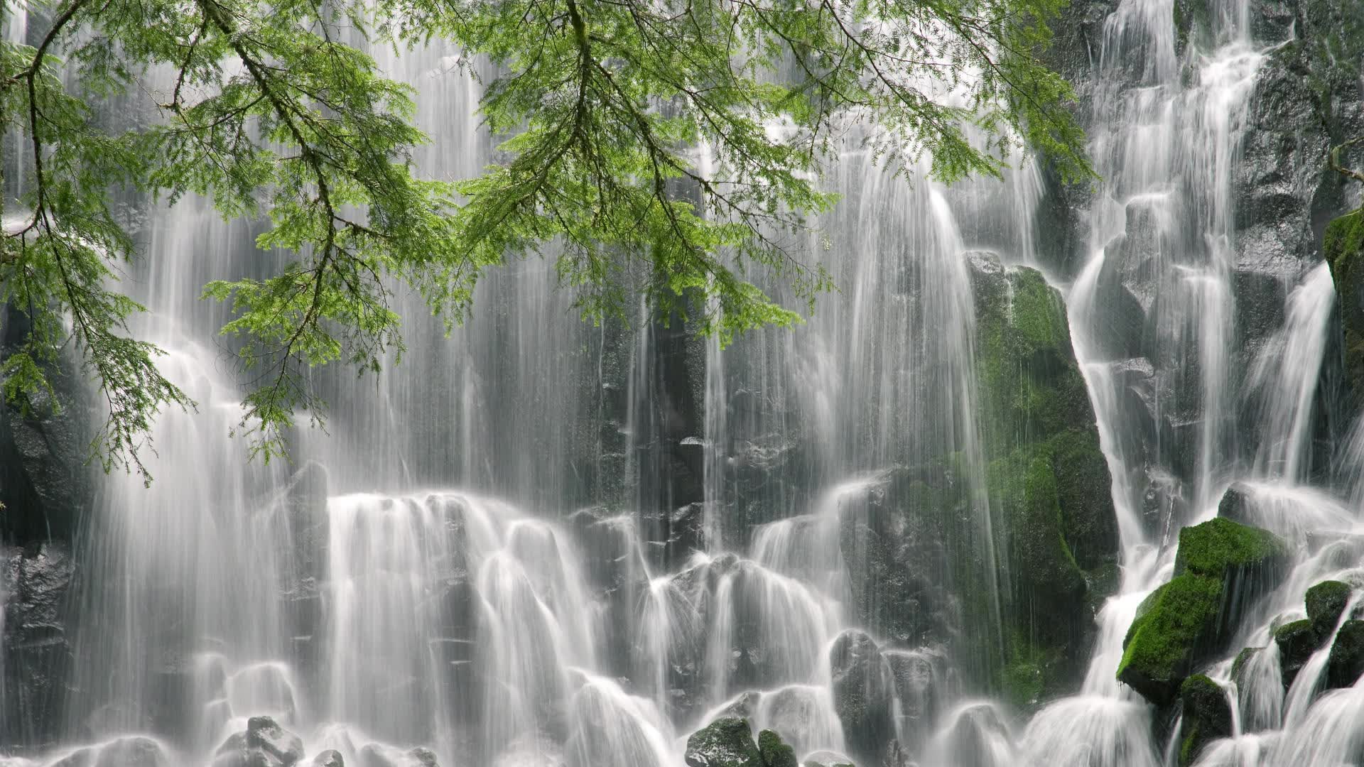 世界短道速滑科研训练模型应用示范基地第六批揭牌，世界短道速滑2021